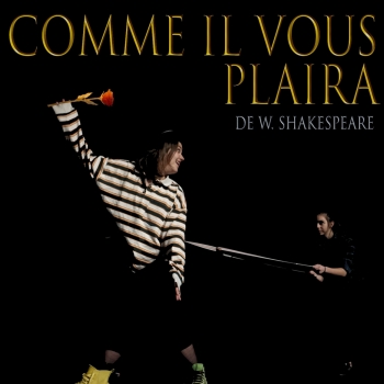 COMME IL VOUS PLAIRA